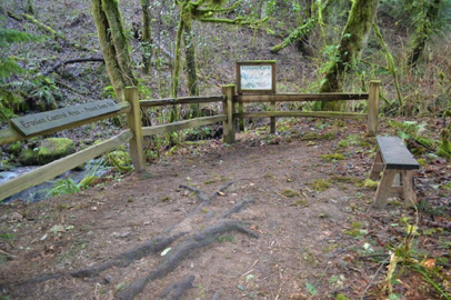 Viewpoint off the Jay Trail with bench and informational signage